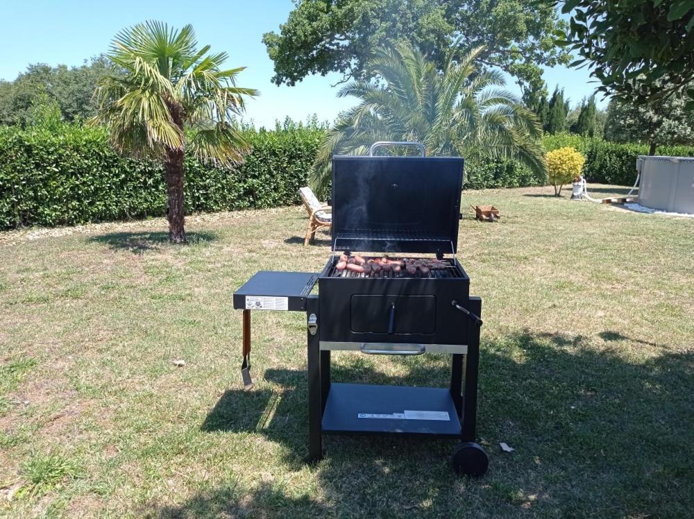 Valdiveltrica Villa Mondavio ภายนอก รูปภาพ